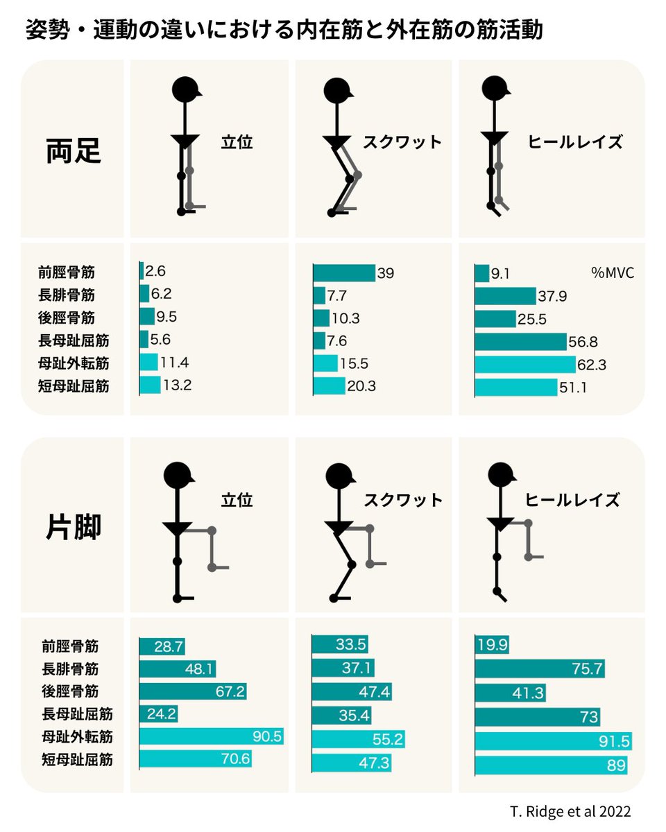 pttiger0228's tweet photo. 姿勢・運動の違いにおける内在筋と外在筋の筋活動 https://t.co/74H34ex6oI