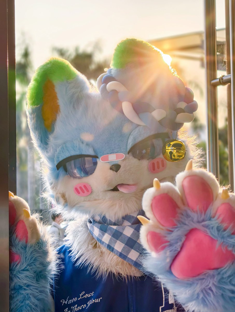 SDfurry123's tweet photo. 泥嚎呀，今天又是美好的一天呢 https://t.co/KNO61ljKau