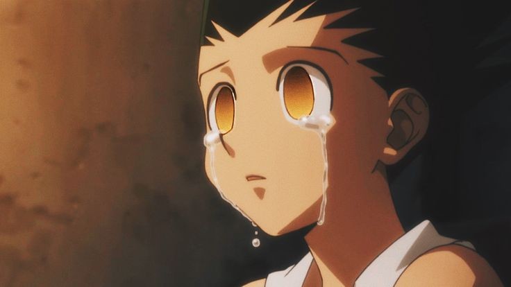 Gon es un magnífico personaje y un excelente protagonista para su obra. A menudo menospreciado/infravalorado por la comunidad. Aun que en primera instancia parece algo plano o sencillo es mucho más complejo de lo que aparenta, con muchas capas y posiblemente top personajes de HxH