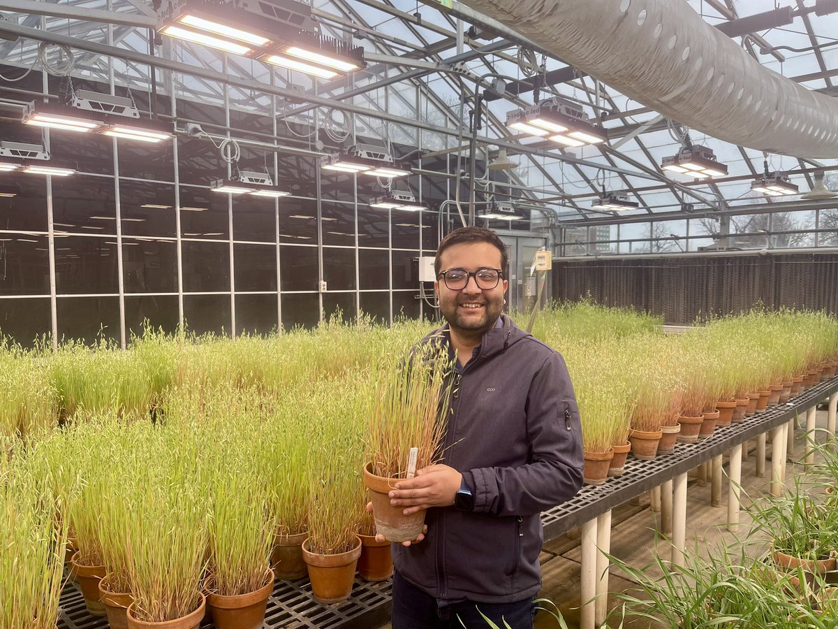 Anup Dhakal tweet media