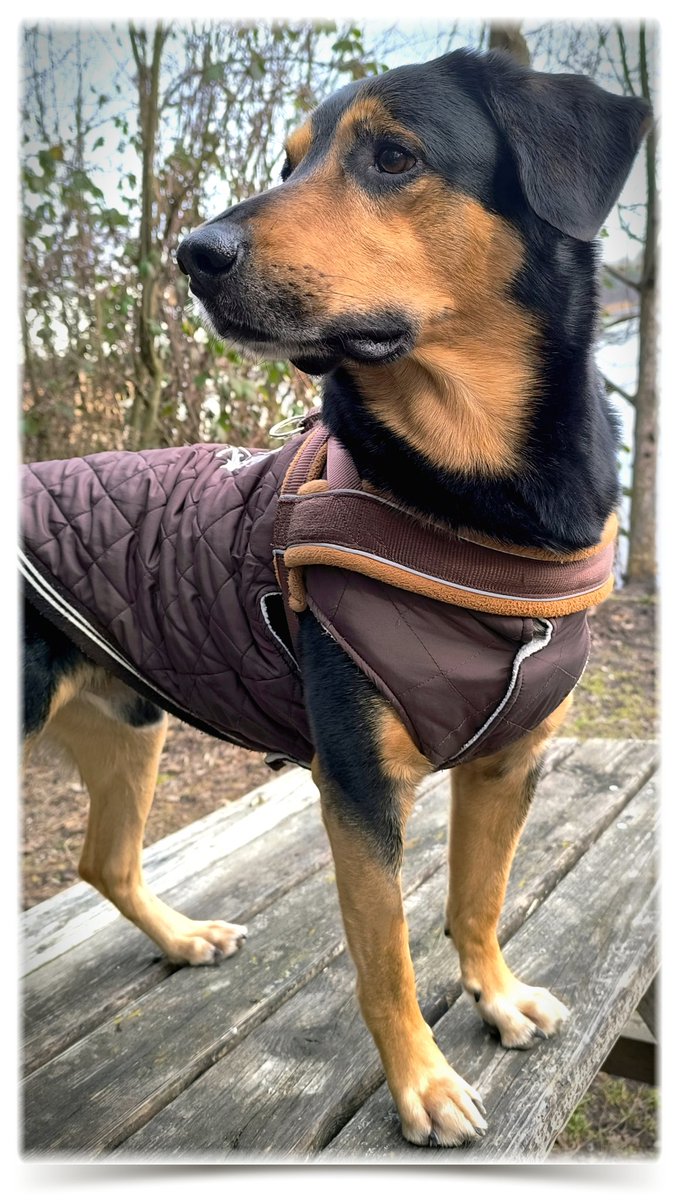 Gerhard Zeiler 🆔 tweet media