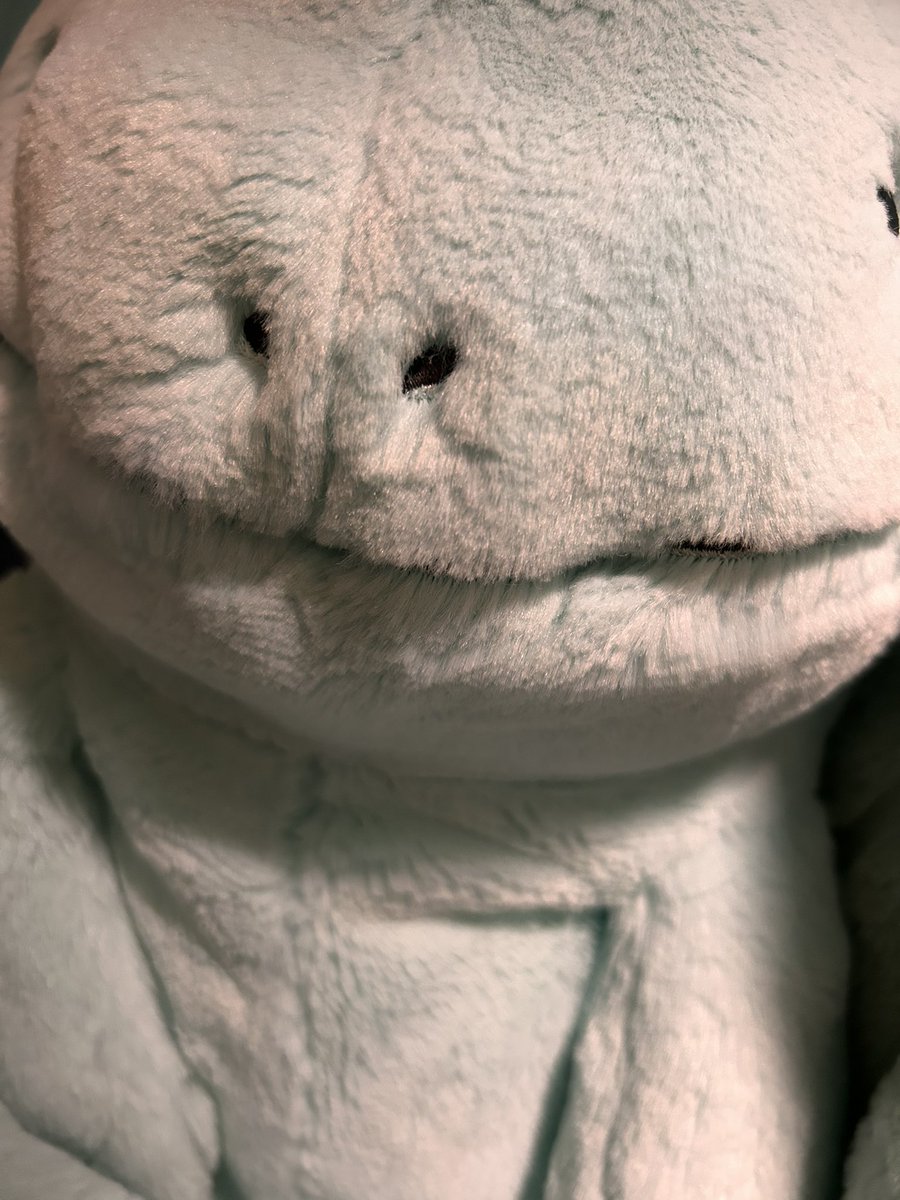 おはようございます❣️
昨日高島屋に行って鎌倉紅屋の商品買うつもりが朝起きれなくて😭

とりあえずコメダ行きましたぬ😊

みんぬぁで誰の鼻の穴かゲームをしたぬ🤭

ごあたち結構お顔がそれぞれ特徴あるだぬけどわかるだぬかぁ？