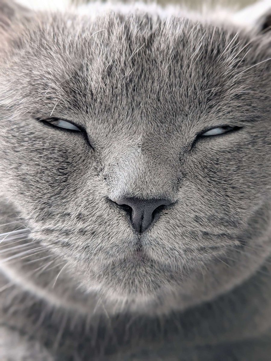 tengo mas viejas que trastornos mentales