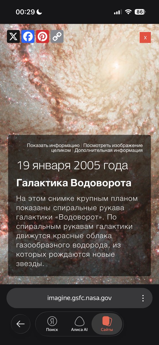 Интимный Дизайнер tweet media