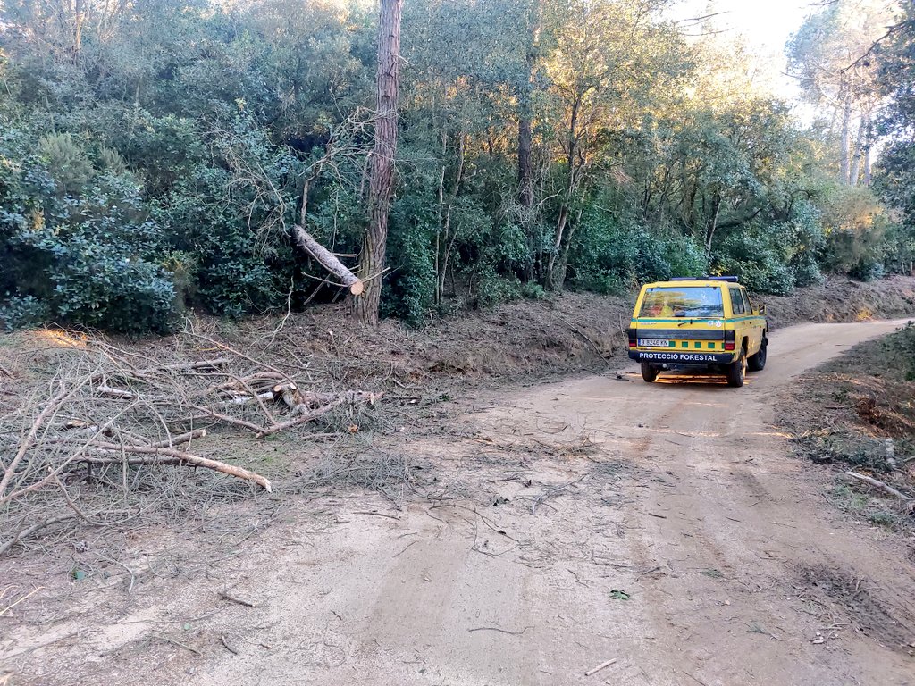 💨 Temporal de #Vent. Finalitzem jornada de +9h de guàrdia amb 6 voluntaris i 15 serveis:

• Argentona (10)
• Dosrius (4)
• Mataró (1) 

✅ Sense incidències greus 

#adfcat #ventcat