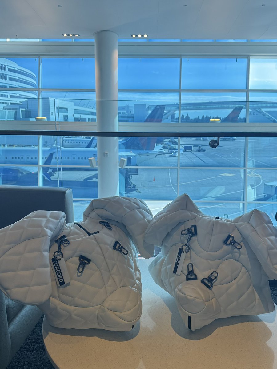 Lucy 🖤 tweet media