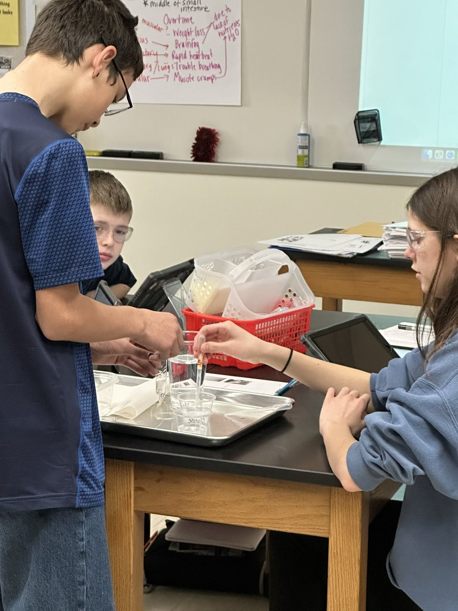 Amanda Deibert tweet media