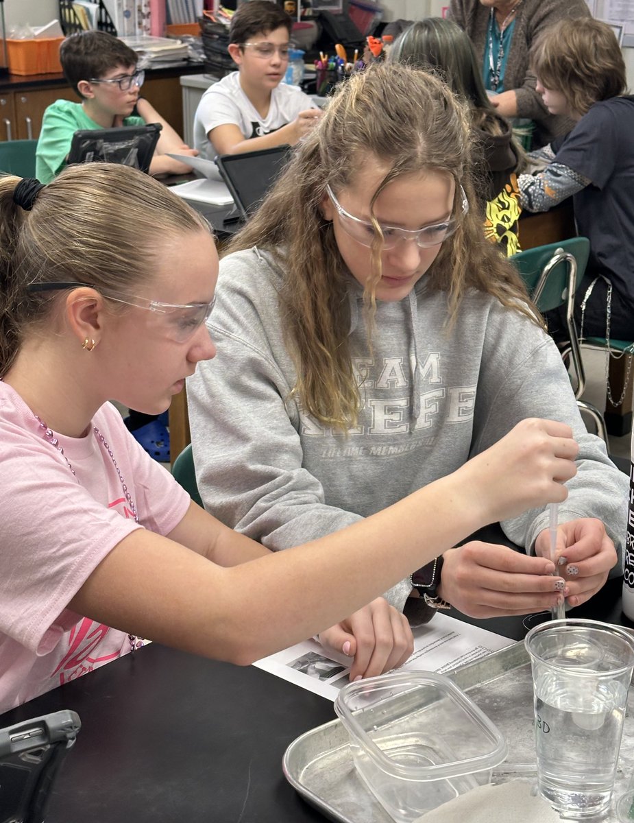 Amanda Deibert tweet media