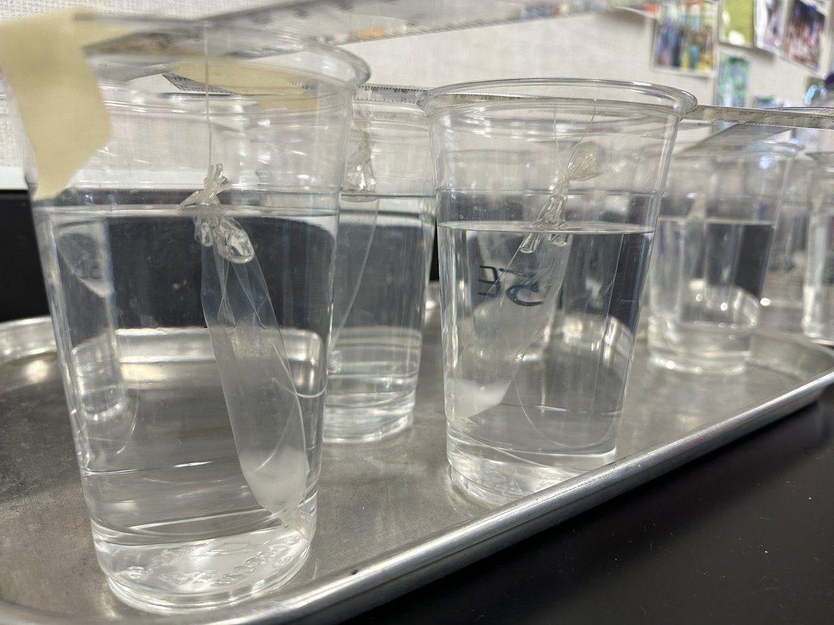 Amanda Deibert tweet media