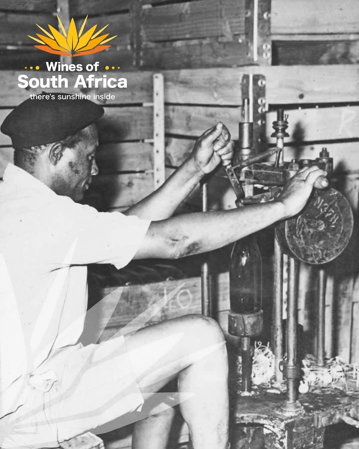 WOSACanada tweet media