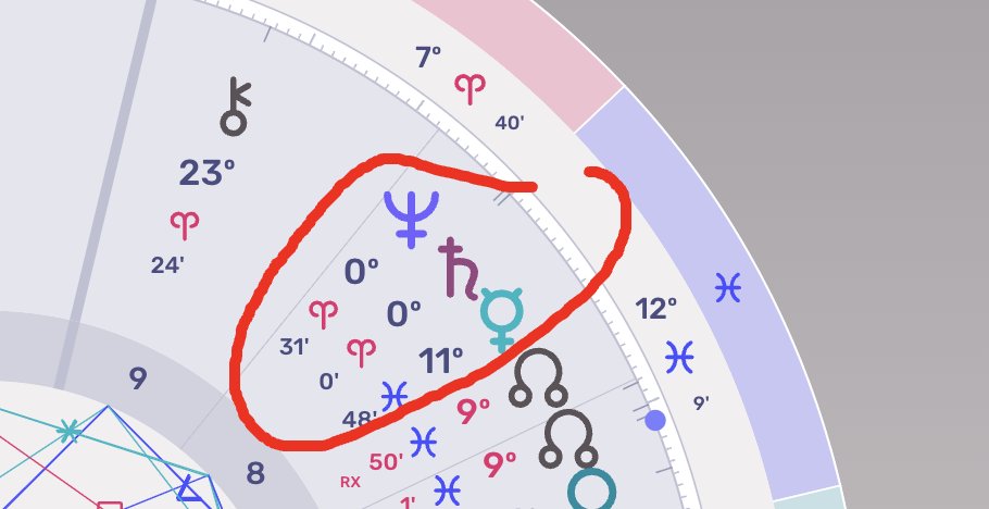 CRYPTO Damus tweet media