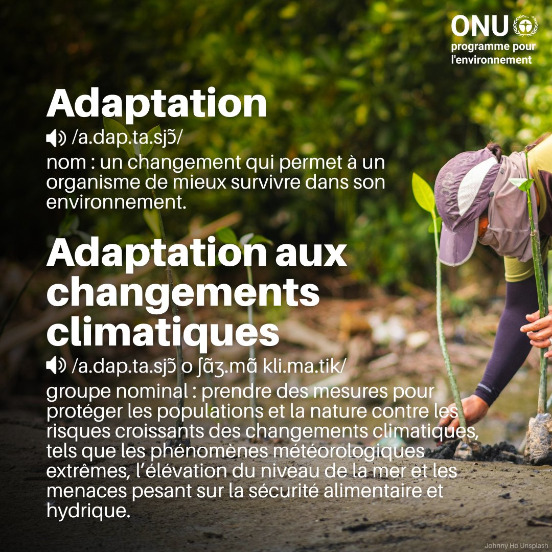 UNEP_Francais's tweet photo. L’adaptation aux changements climatiques consiste à aider les communautés à s’ajuster à un climat en mutation : protéger les vies, les moyens de subsistance et la nature, tout en créant de nouvelles opportunités de développement.
https://t.co/8WKsYyjo9y
#AdaptationGap https://t.co/N8pSrrL1zW