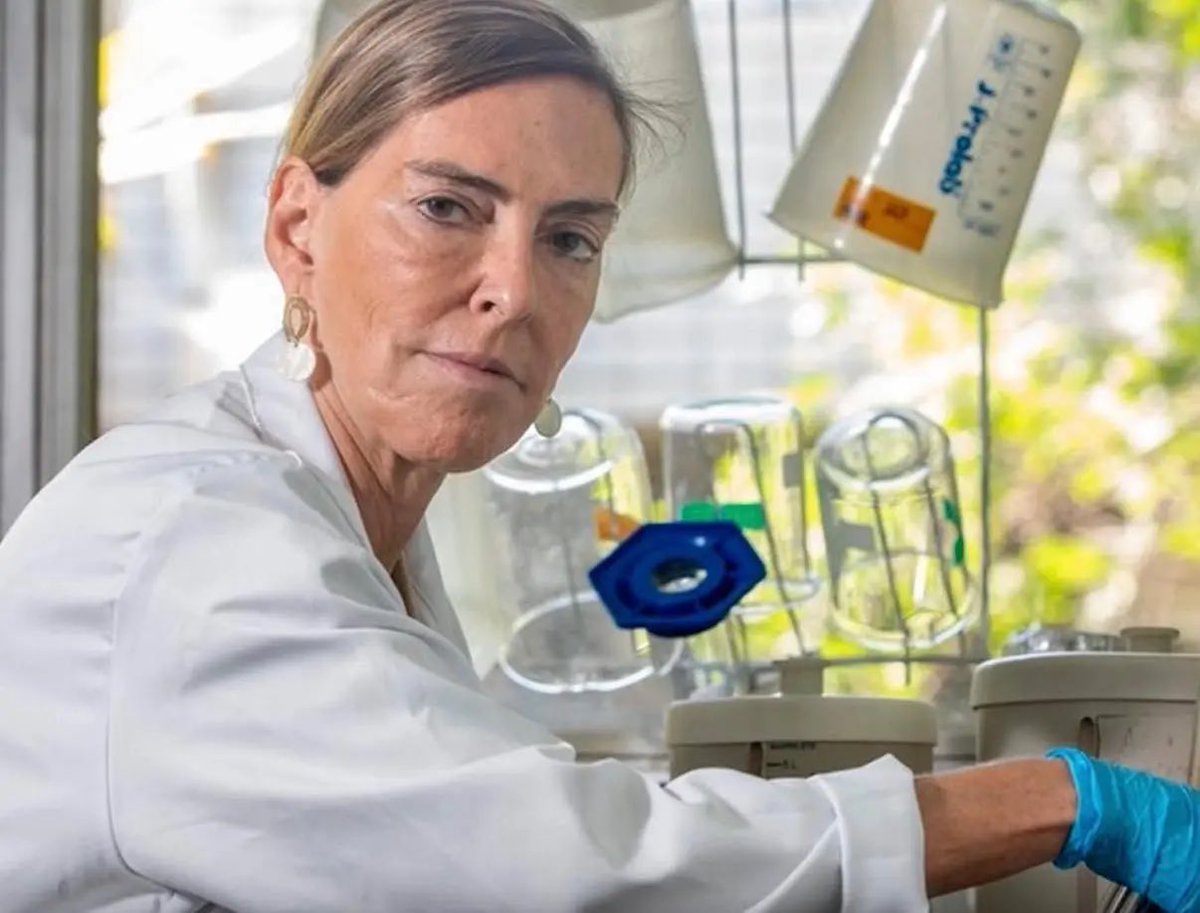 🌟 Essa é Tatiana Coelho de Sampaio: bióloga, professora e chefe do Laboratório de Biologia da Matriz Extracelular. 

Com graduação, mestrado e doutorado pela UFRJ e mais pós-doutorados nos EUA e Alemanha, ela dedicou +25 anos à pesquisa em proteínas da matriz extracelular.