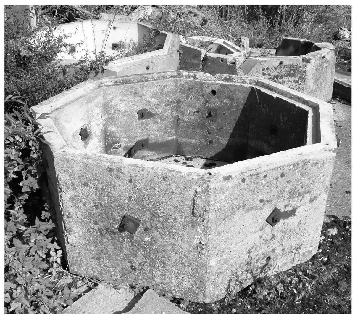 Kit Kowol tweet media