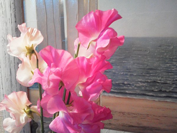 占いサロン順震(原宿当たる占い師5選、ヤフー占い売上No1占い師）2/28