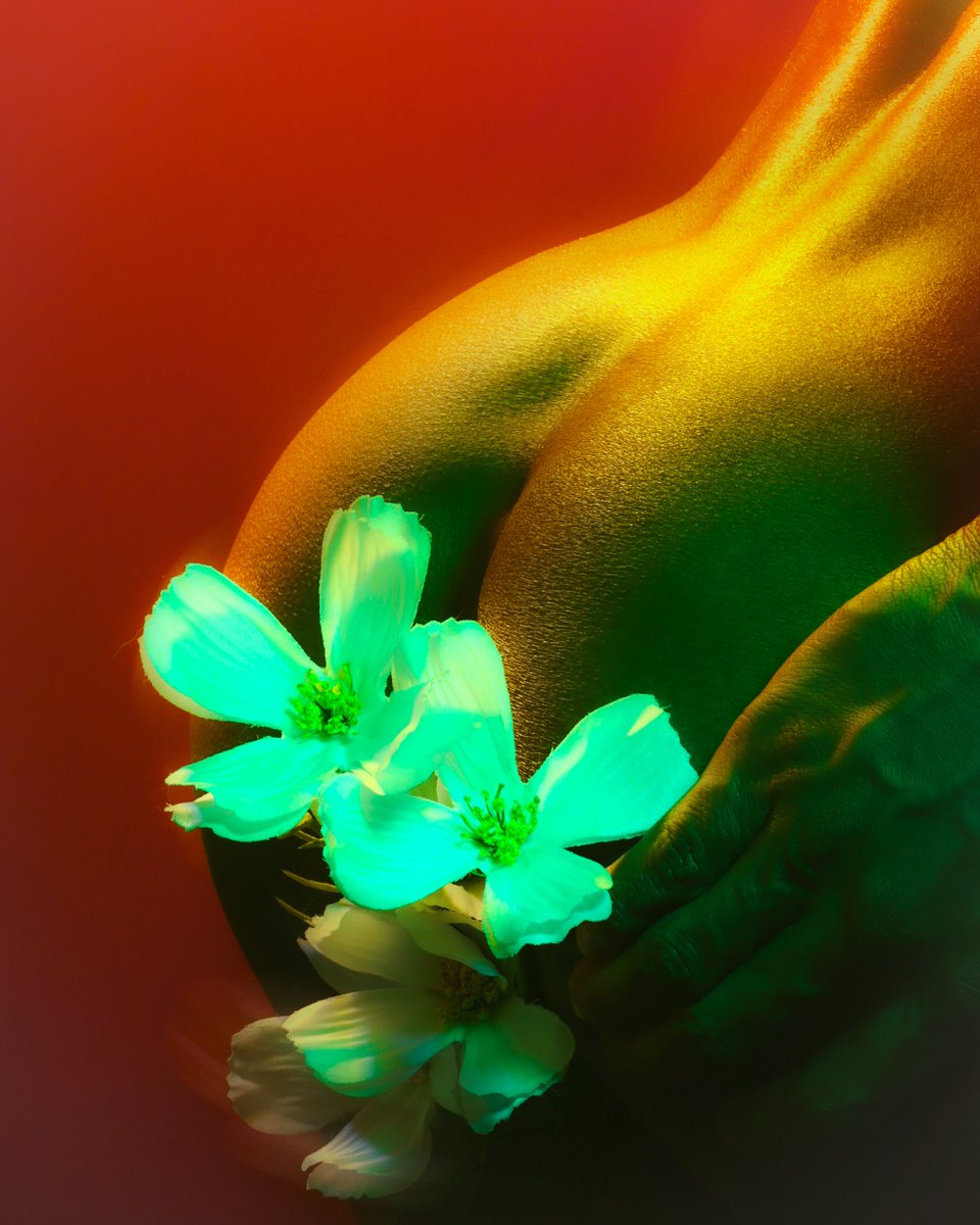 JAY 🔱 tweet media