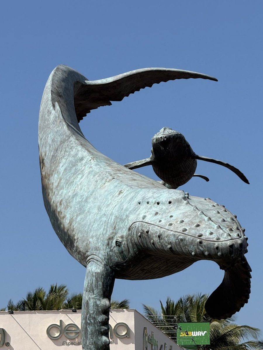 cat heifner tweet media