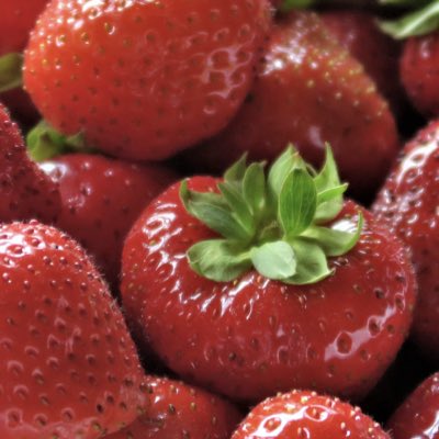 austin_vuolo's tweet photo. #NewProfilePic https://t.co/S46rq9yBAF