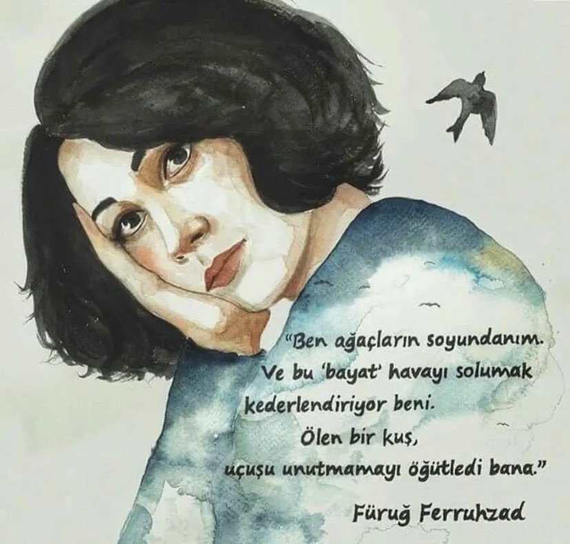 O'halde Ozan ☭ tweet media