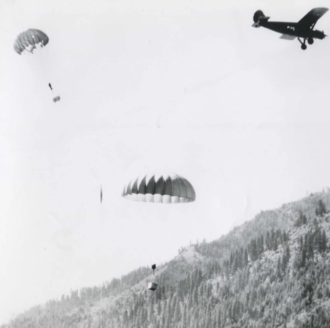 Mountain Mind tweet media