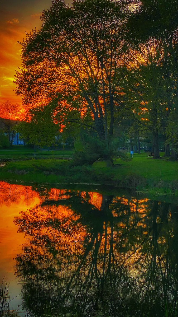 📸VineyardWarrior📸 tweet media