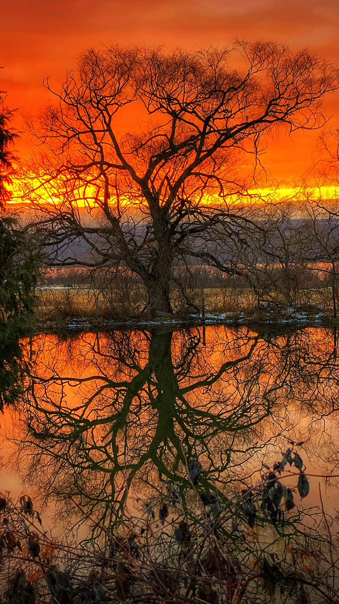 📸VineyardWarrior📸 tweet media