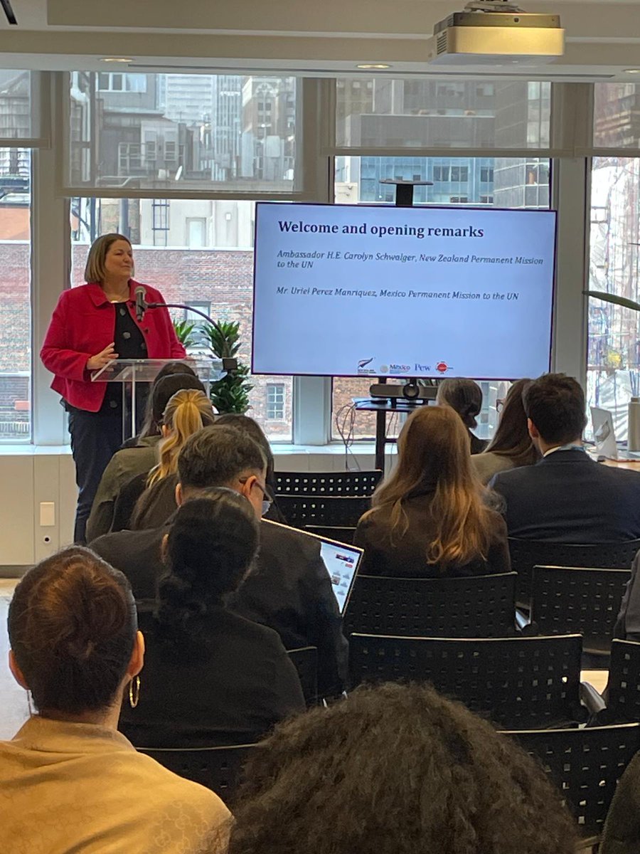 NZ at the UN tweet media