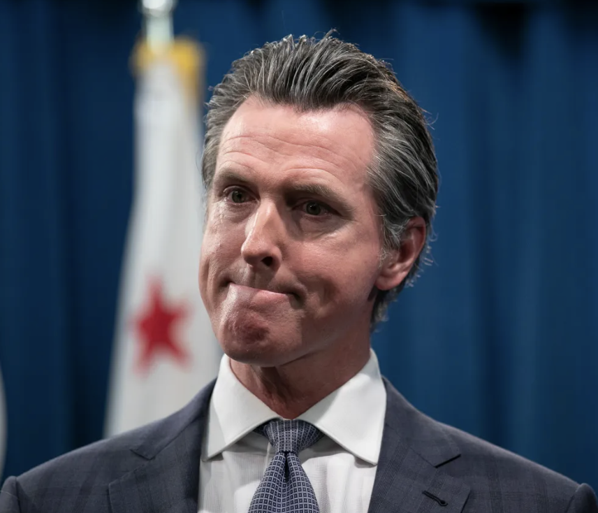 Crypto Rover tweet media