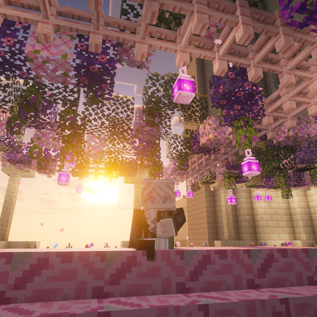 Ancasia 🍥 tweet media