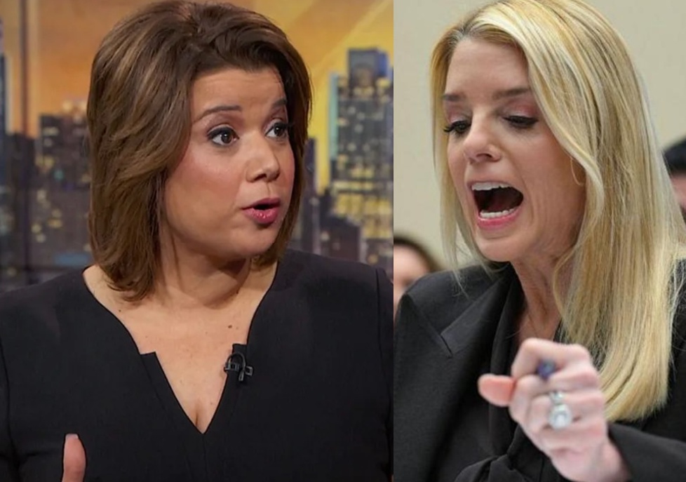 Occupy Democrats tweet media