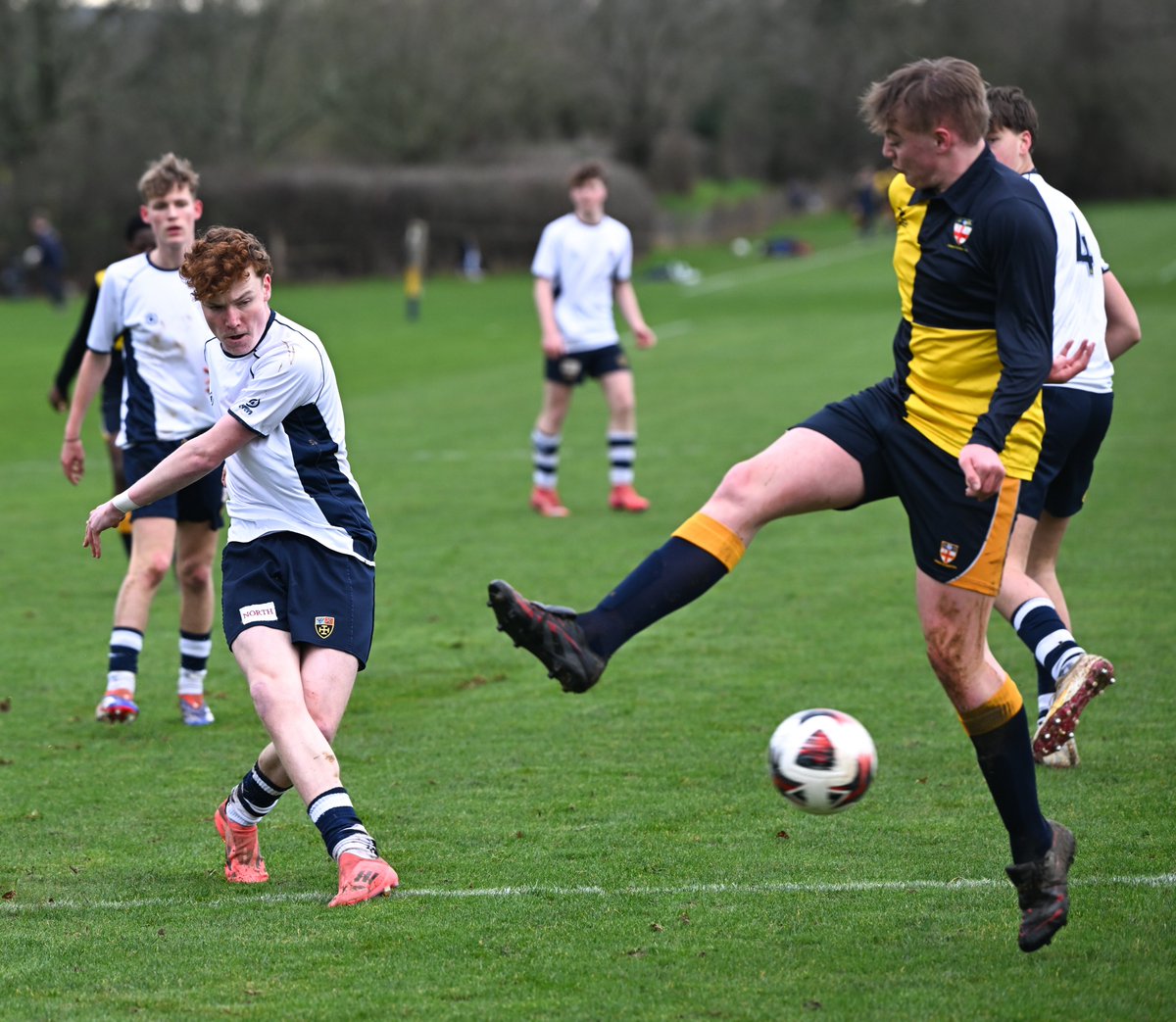 Cranleigh Sports Photos tweet media