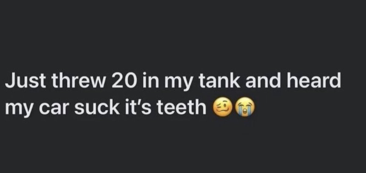 MissTooMuch tweet media