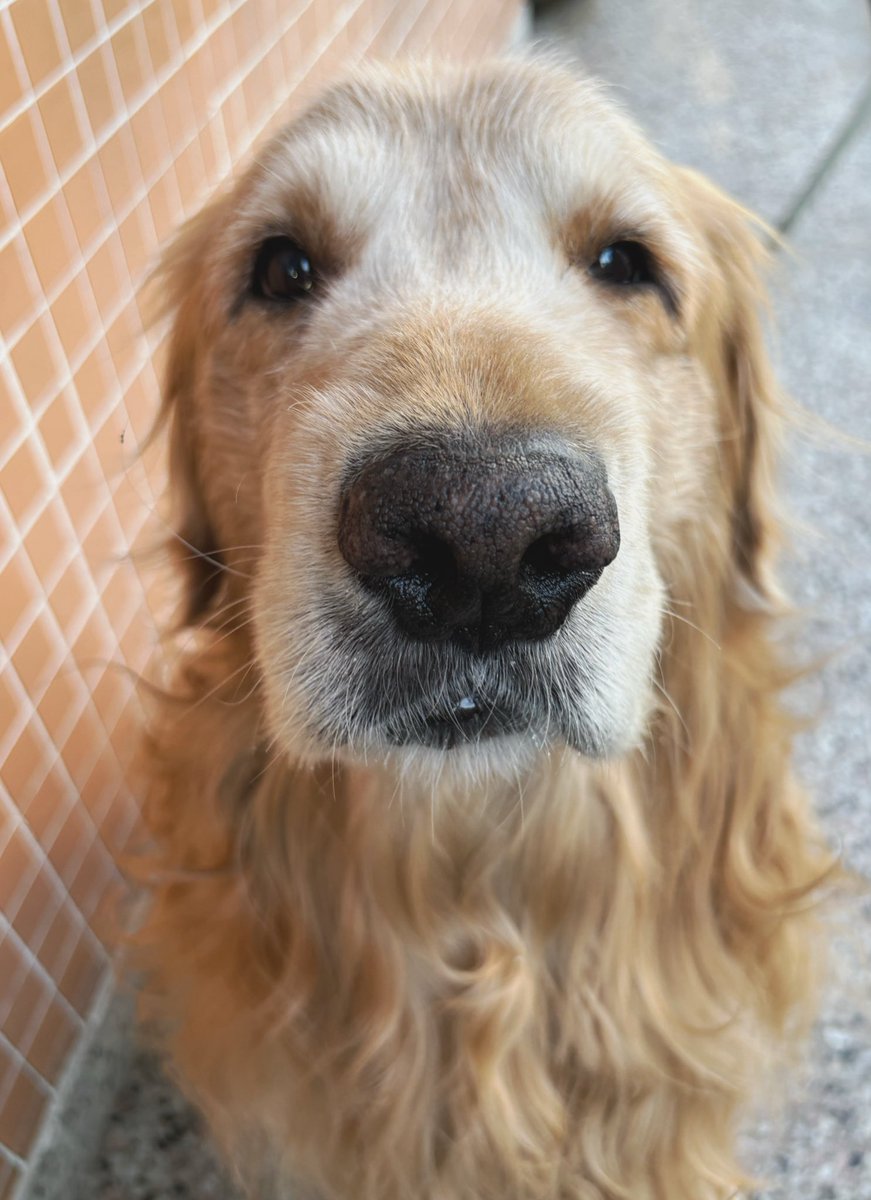 hay peor sensación que esta?