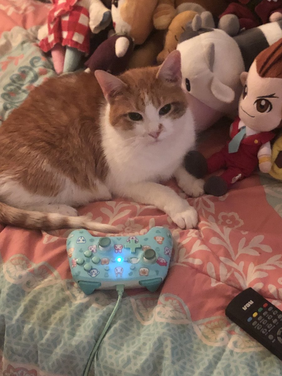 Rose Idiakisser 🔞 tweet media