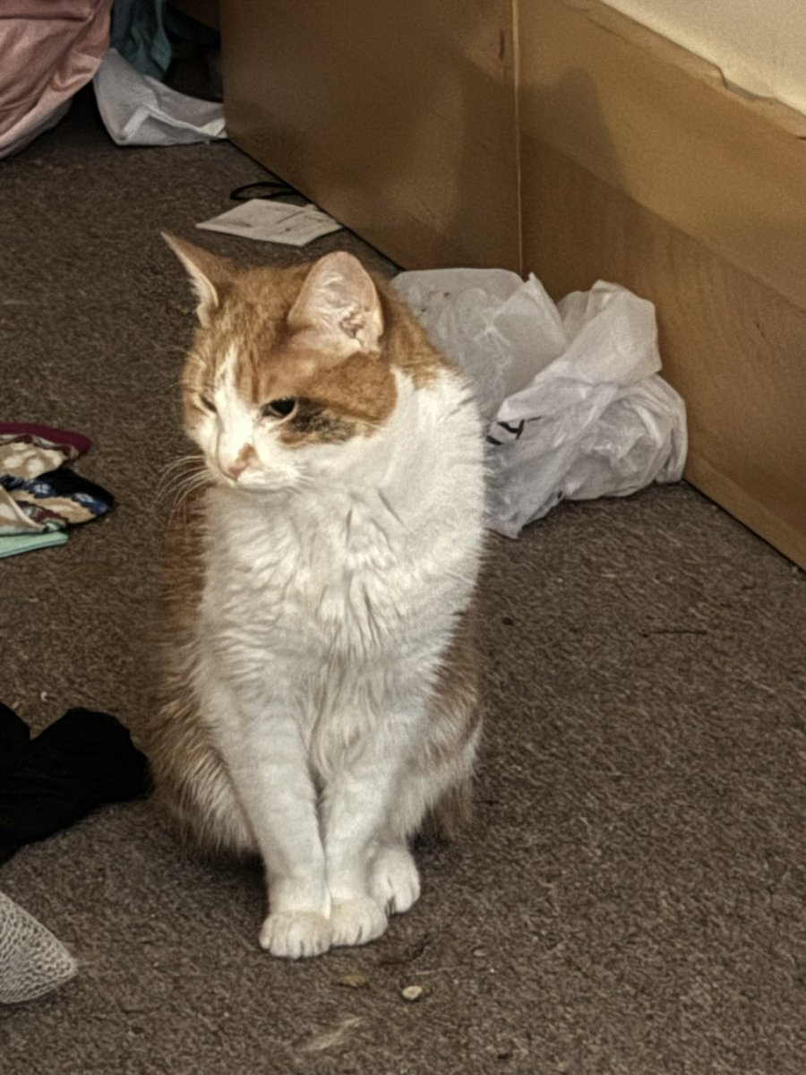 Rose Idiakisser 🔞 tweet media