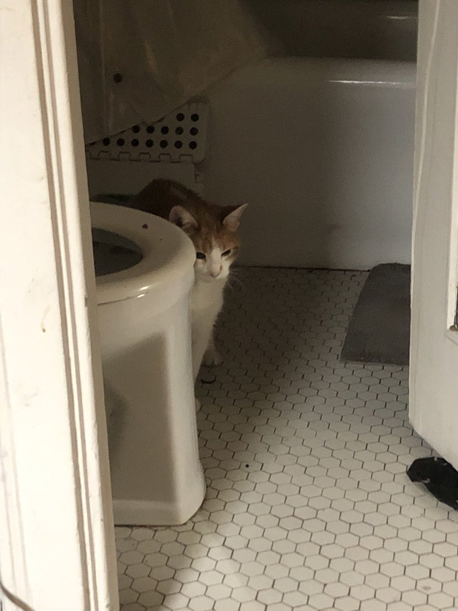 Rose Idiakisser 🔞 tweet media