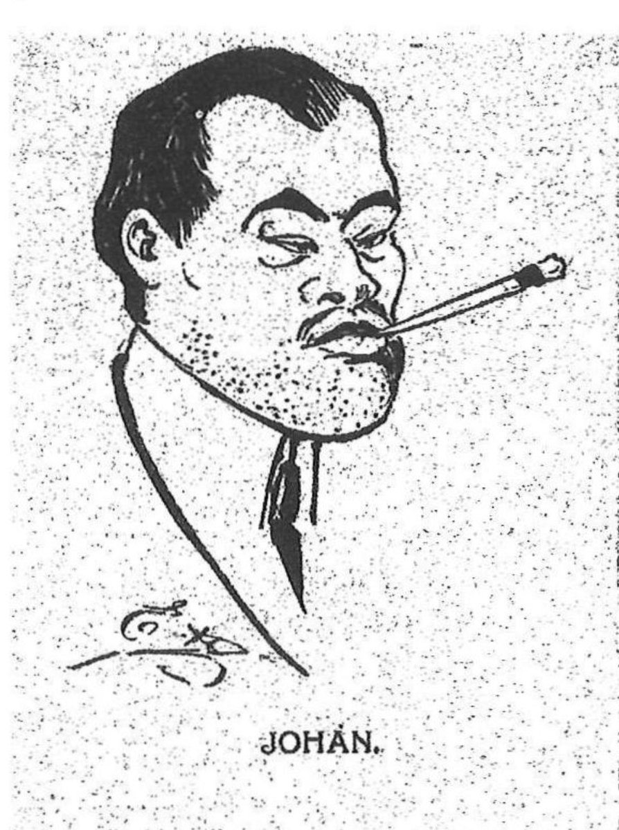 Djurgårn by night tweet media