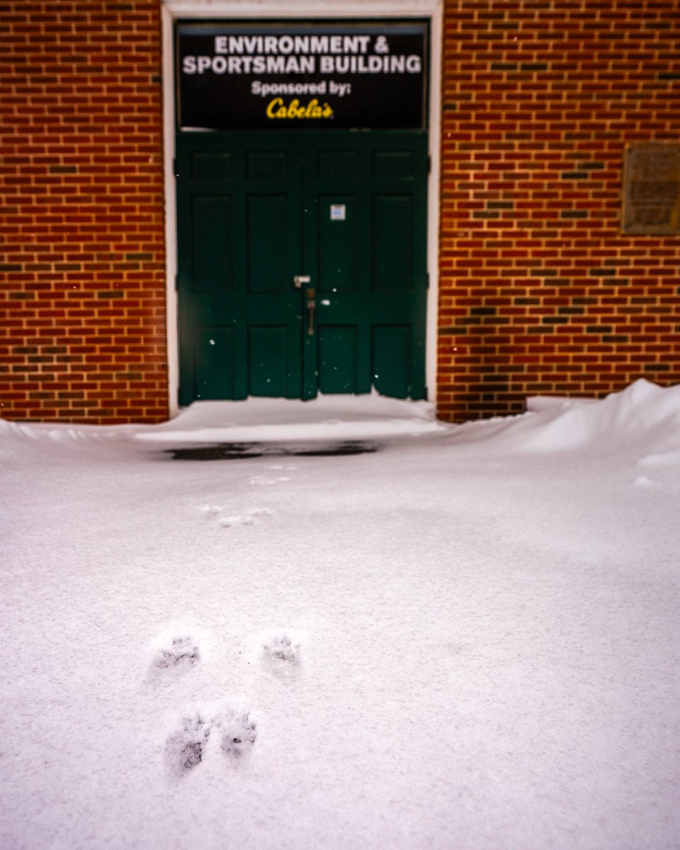 Erie County Fair tweet media
