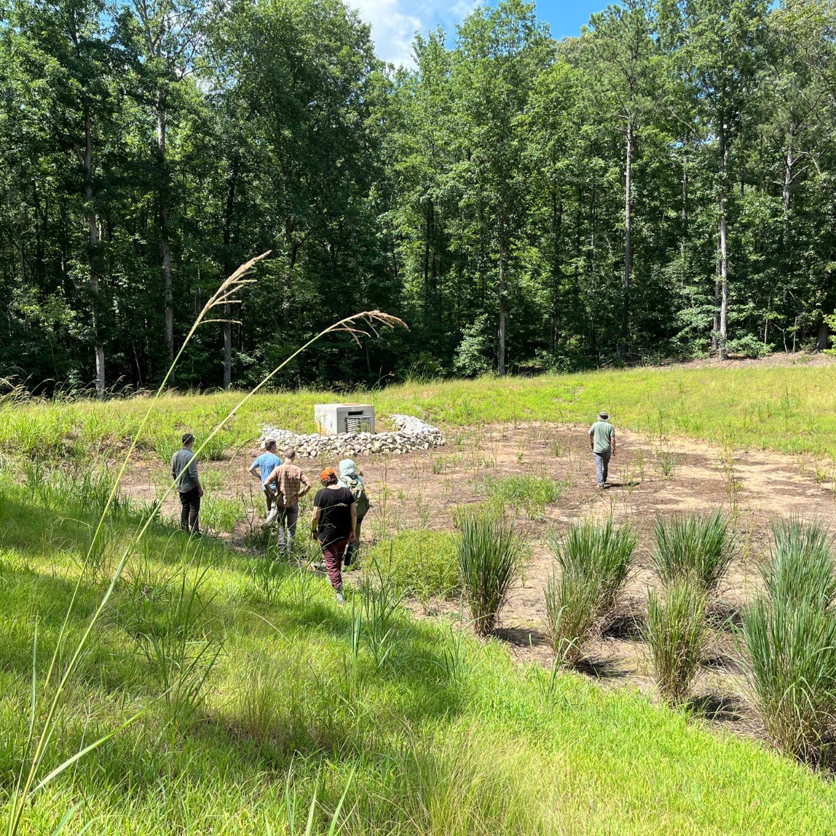 Rowen Foundation tweet media