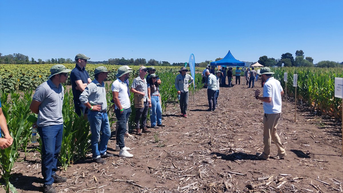 EDM - Estudio Agronómico tweet media