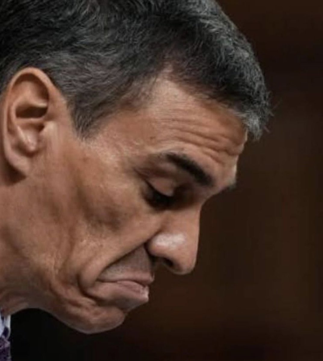 Maribel Fernández tweet media