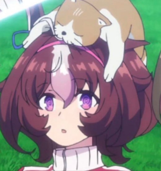 Satono Diamond 🇦🇷 tweet media