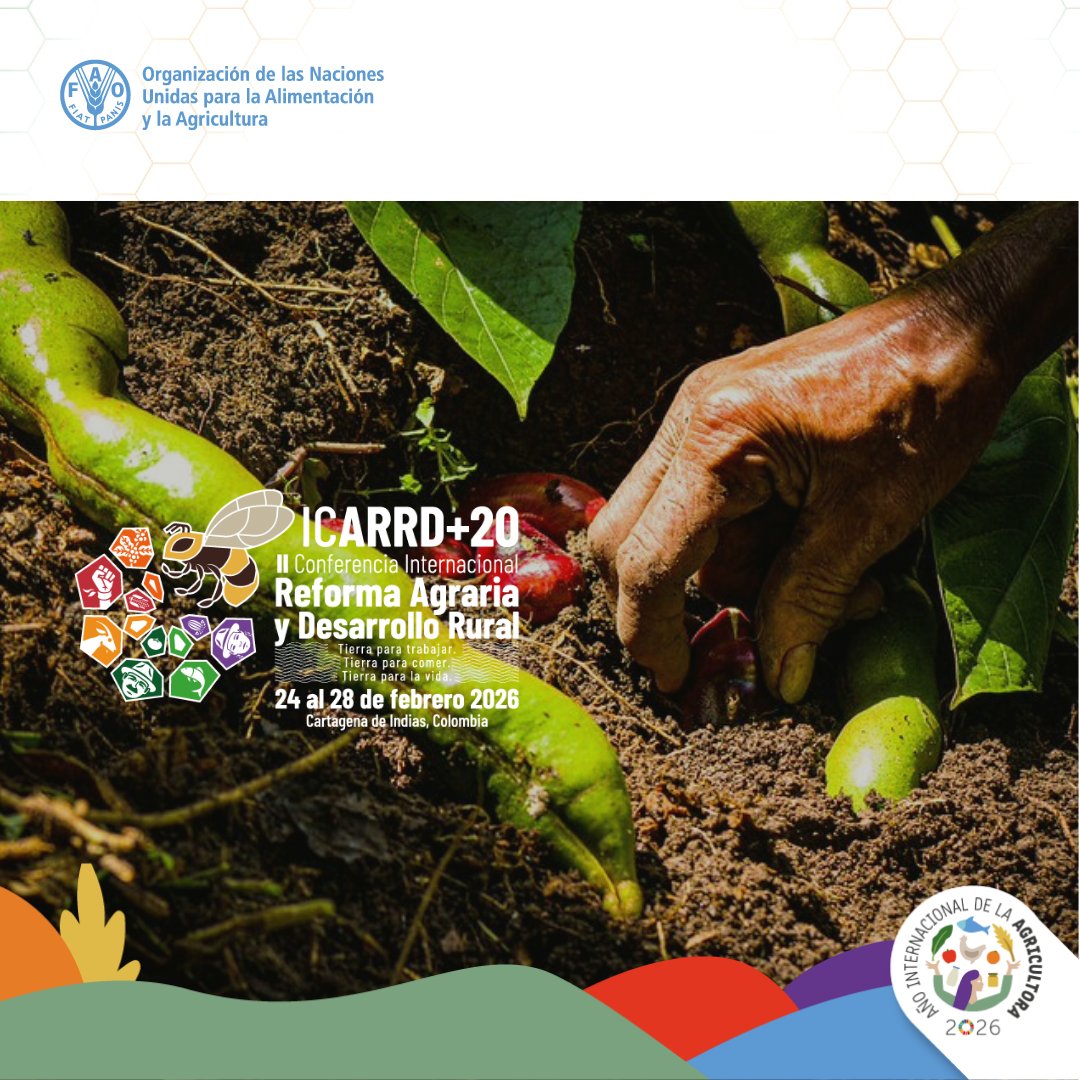 FAO_Colombia's tweet photo. 🔔 ¡Todo listo para la #ICARRD20!

Del 24 al febrero, Cartagena🇨🇴 será el punto de encuentro para repensar el acceso a la tierra, la producción de alimentos y el desarrollo rural con enfoque de derechos. 🌍

Desde FAO 🇨🇴 acompañamos este proceso desde nuestro rol técnico. 🤝 https://t.co/0RzvrLxKST