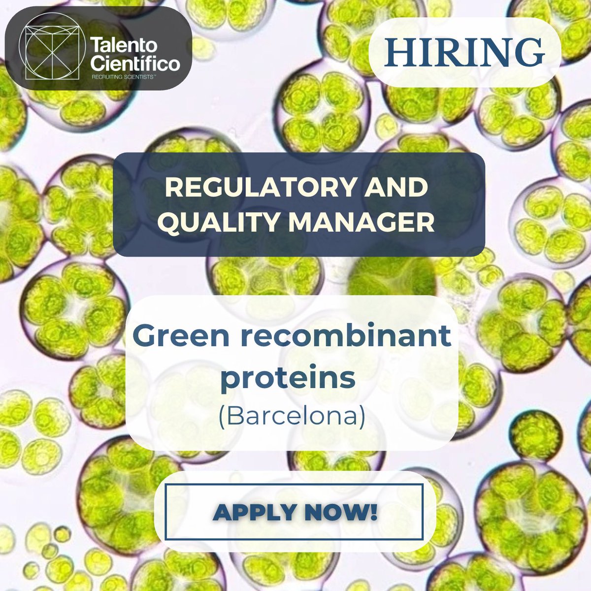 Talento Científico tweet media