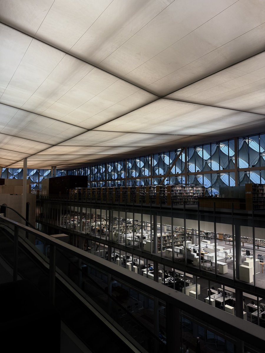 دانـه tweet media