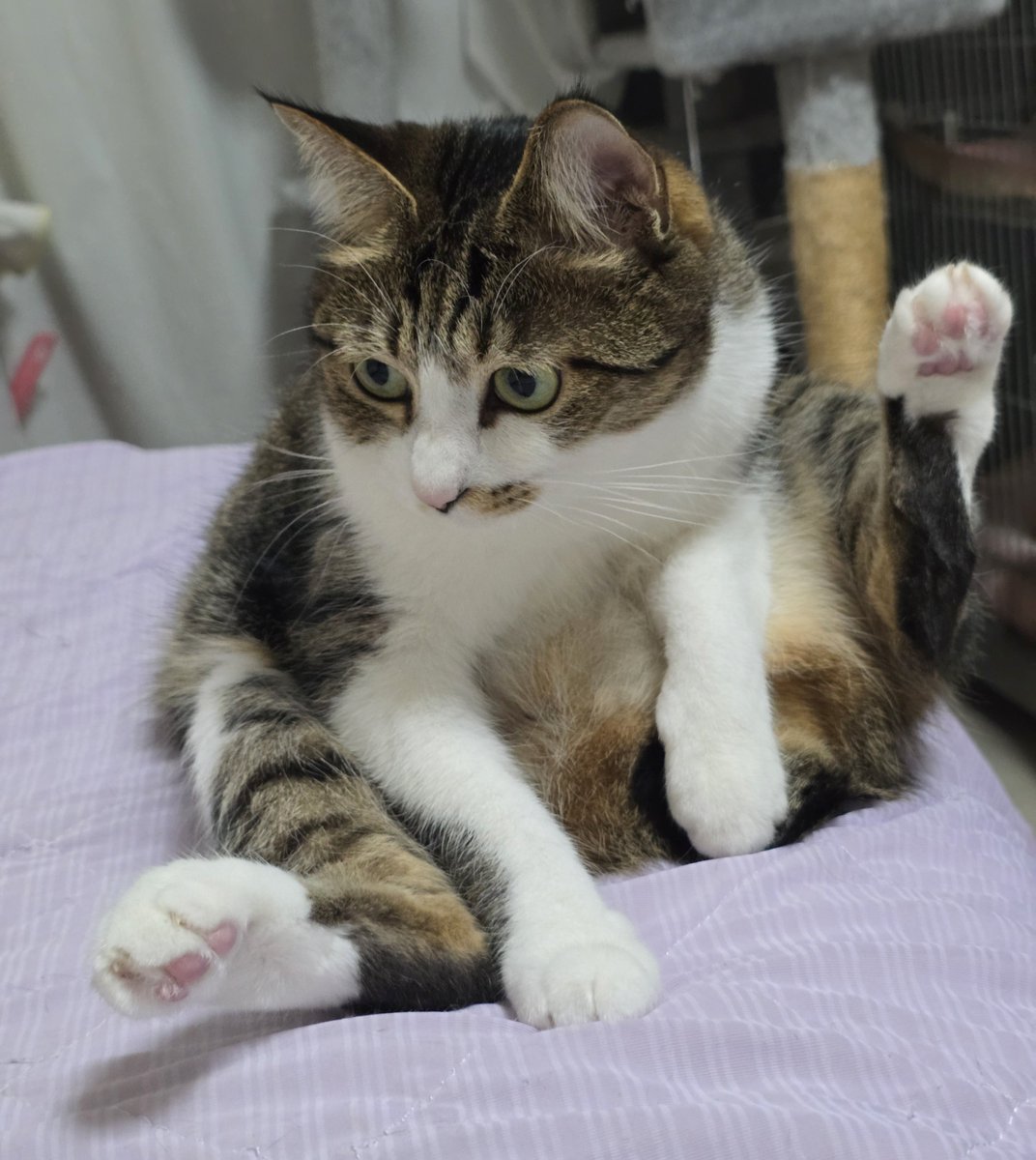 まりもちゃん！と🧌 (@marimo2021915) / Posts / X