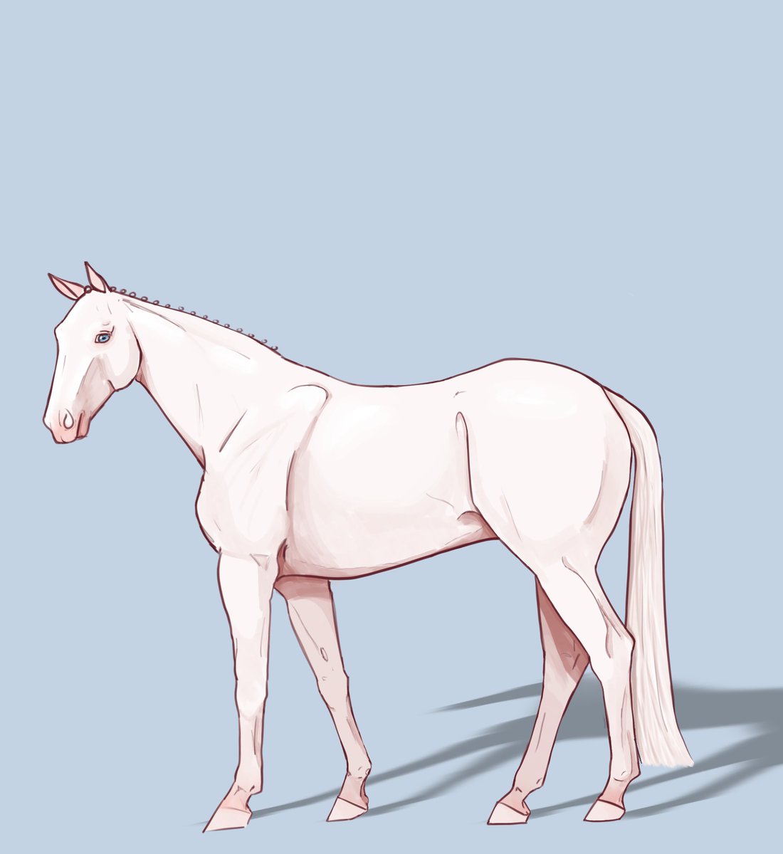 Zelkova ✧ 🇵🇸 tweet media