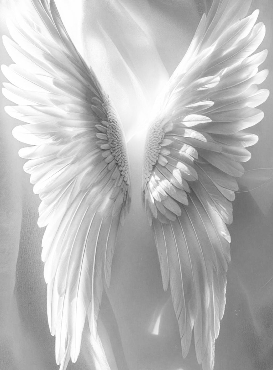 El amor propio no te dará mariposas, pero si alas.