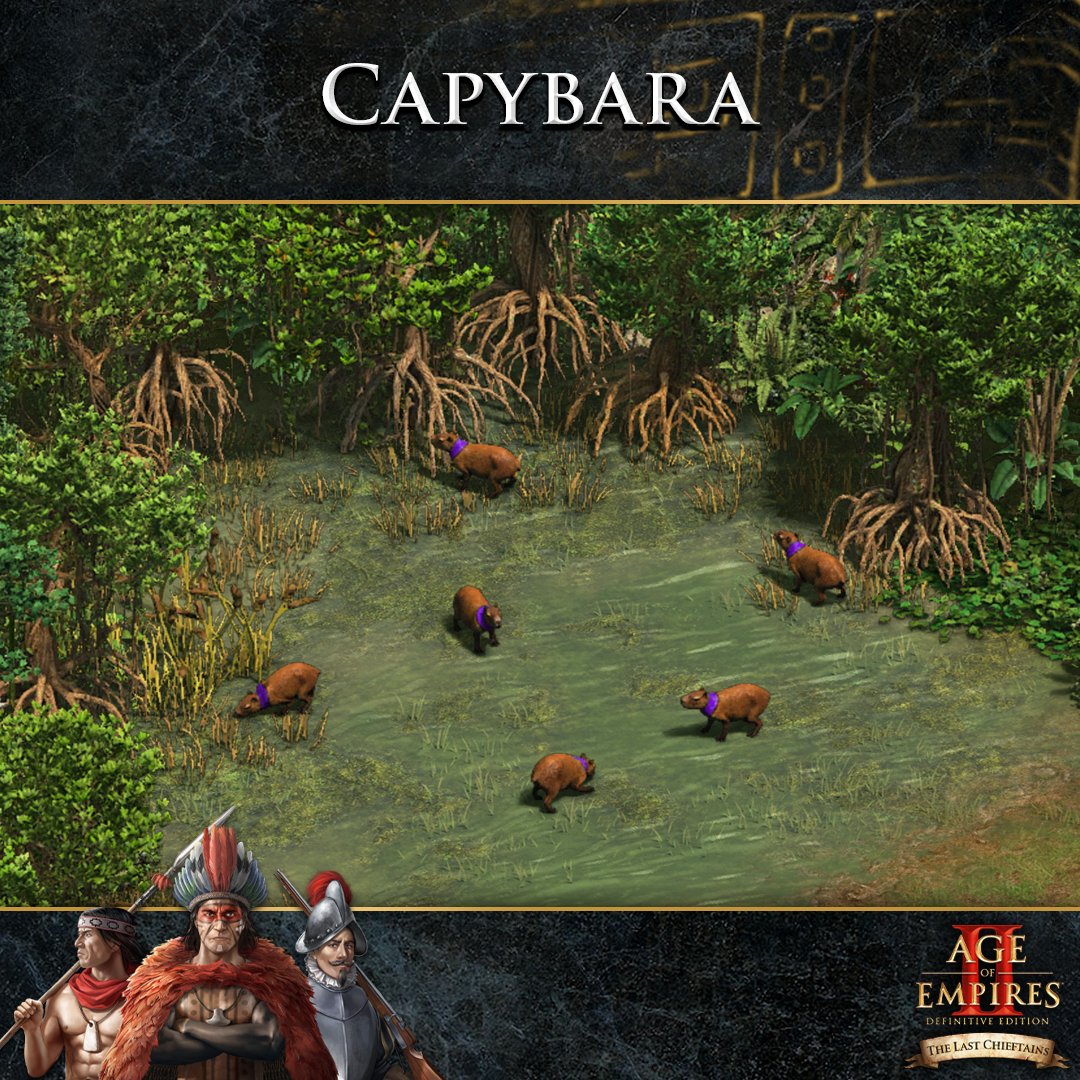 Ca-py-ba-ra~ (Capybara!) 🎵 

Capybara, capybara, capybara, capybara! 🎶