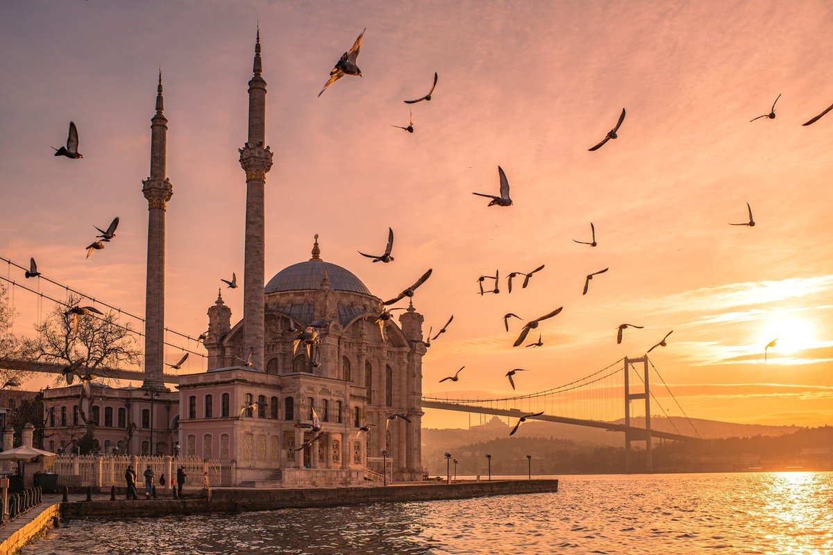 ESTAMBUL 🇹🇷 <a href="/flymepegasus/">Pegasus Airlines</a> 
Ocupación %

• SAW-BIO: 81,7%
• BIO-SAW: 90,3%

La ruta empieza a despegar de verdad, da gusto ver estos datos.
#Estambul #AeropuertoBilbao